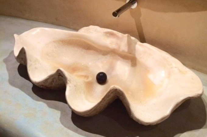 Giant Clam Shell To Sink Into Record Books Luxury Goods